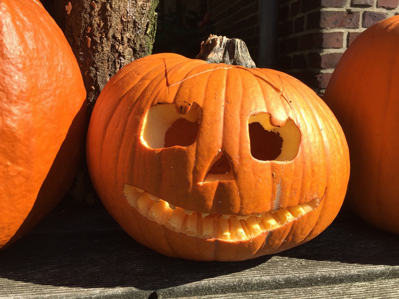 ハロウィンのかぼちゃ おばけ の名前は 意味や由来をご紹介 フリースタイル